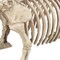Pig Skeleton Farmyard Halloween Decoration for Spooky Party Displays